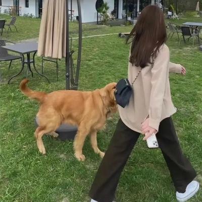 残酷情感